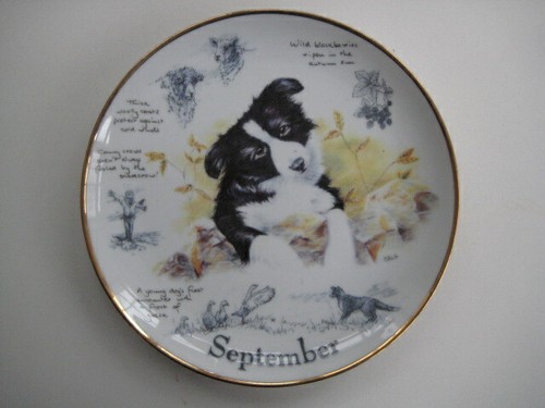 Danbury mint collector - danbury,