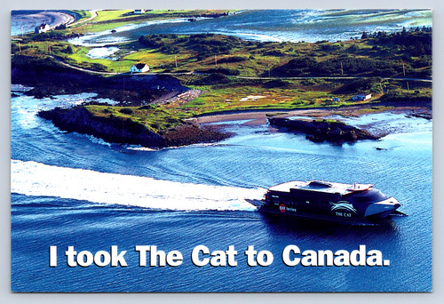 Vintage postcard the - vintage, cat