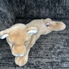 Douglas Kelso Mountain Lion