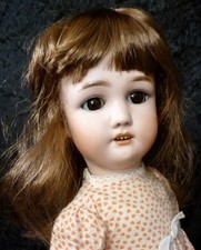 10" / 25cm DOLL WIG FOR