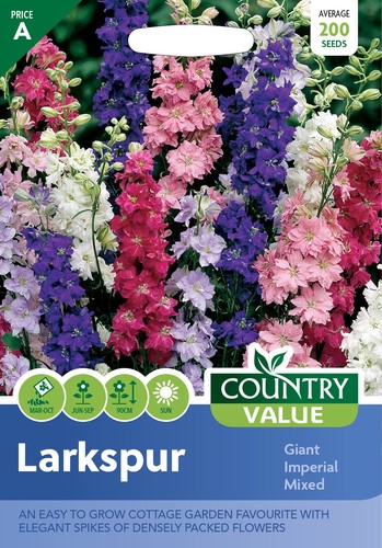 Flower seeds larkspur giant - larkspur,