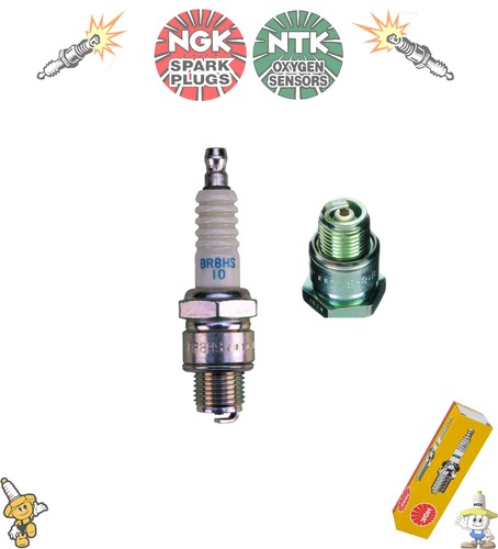 Ngk spark plug - spark,