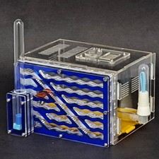With Feeding Area Ant Farm