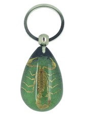 Real Scorpion Green and Black