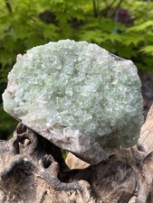 Green Apophyllite Rare Cluster