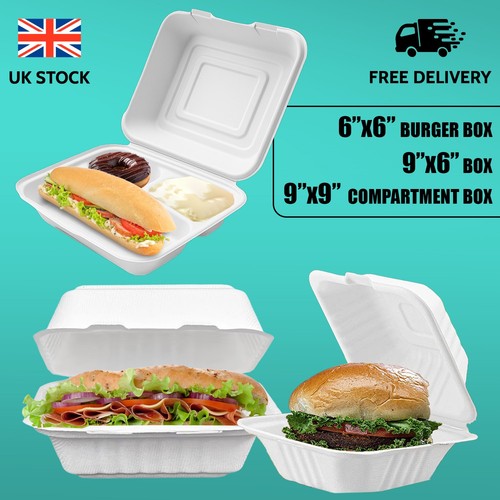 Bagasse takeaway burger - burger, box