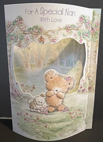 Special nan birthday card d - nan,