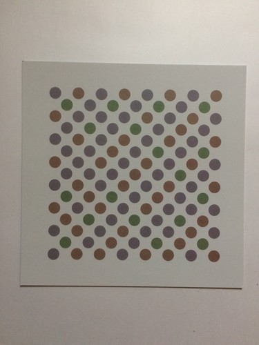 Bridget riley private - private, view
