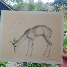 John Rattenbury Skeaping signed Antelope Artwork on paper/card backing