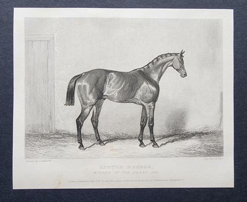 Antique 1840 print - print, horse