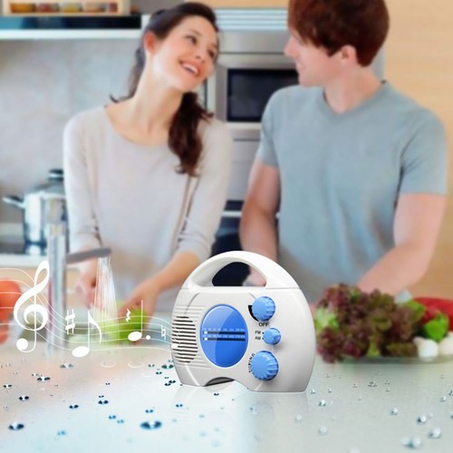 Portable shower radio - portable,