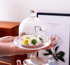  2 Pcs Cake Display Tray Glass Dome Clear Dessert Stands Plate with Lid