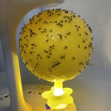 3PCS Indoor Glow Bug Trap Ball