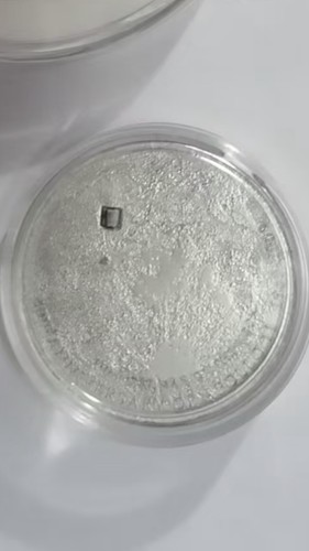 2009 cook islands moon - 2009,