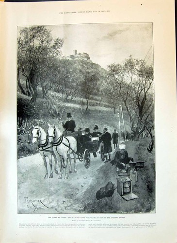 Old 1897 cimiez queen - 1897, horse