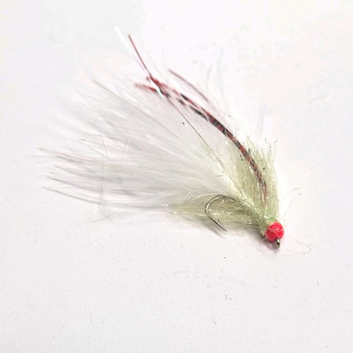 White hothead damsel fly - hothead,