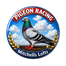Racing Pigeon Personalised