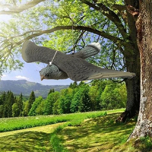 Fake falcon hawk bird - fake,