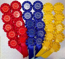  1st 2nd 3rd X10 30 Rosettes