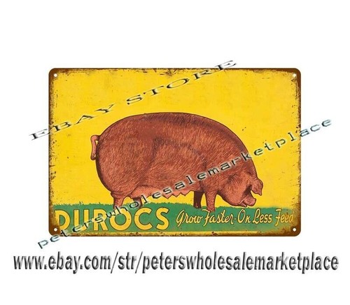 Durocs feed hog pig farm - durocs,