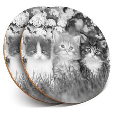 2 x Coasters bw - Gorgeous Kittens Garden Cats Animals  #41343