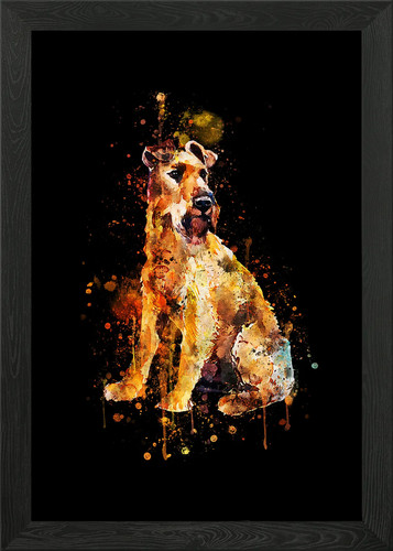 Irish terrier framed wall art - wall,