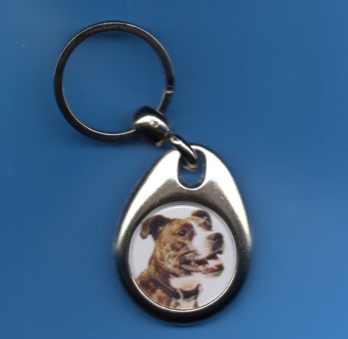 Dog keyring staffordshire bull - dog,