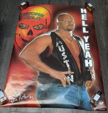 "Stone Cold" Steve Austin