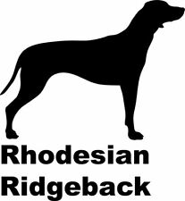 Rhodesian Ridgeback
