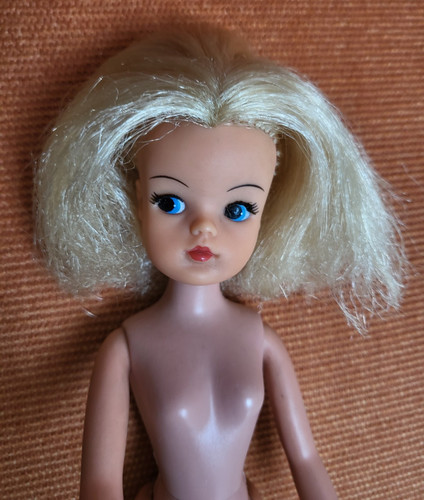 Vintage sindy blonde pedigree - vintage,