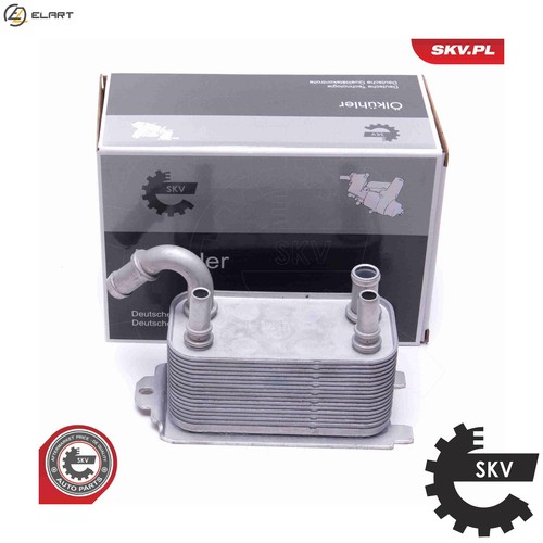 Oil cooler engine - oil, 31skv228