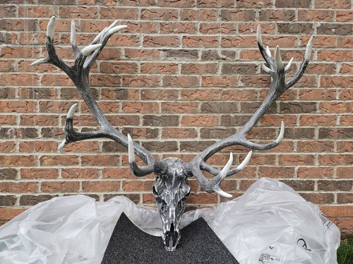 English red deer stag - english,