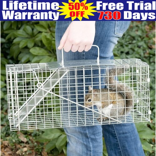 Rat cage trap - live, animal