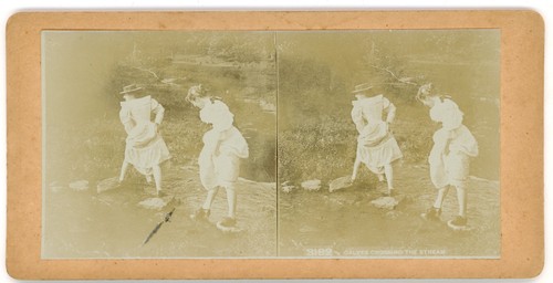 Stereoview stereoscope card - stereoscope,