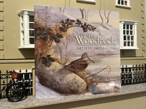 The woodcock artists - woodcock, artists'