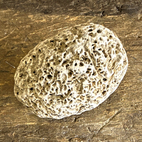 Porous aquarium live rock - porous,