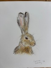 Original Watercolour Hare