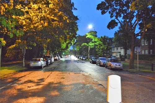 Photo 6x4 park - photo,