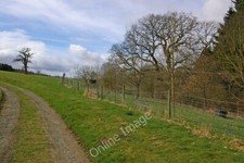 Photo 6x4 Pheasant rearing pen