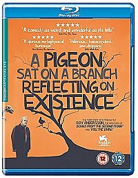 Pigeon sat a branch - pigeon,