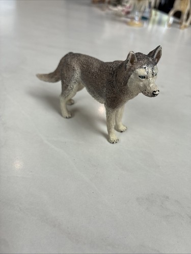 Papo 2014 grey - grey, siberian