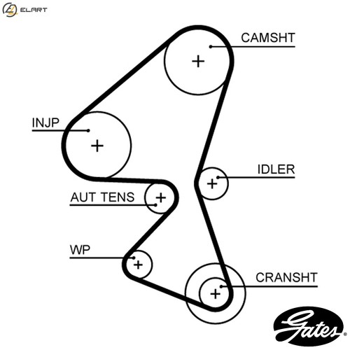 Timing belt 5656xs for - 5656xs,