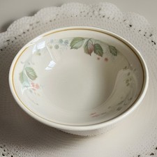 Retro Catering Steelite International Cereal Bowl X 6 Floral/Leaf Cream