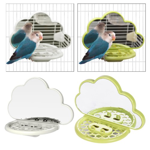 Parrot bird mirror clouds - bird,