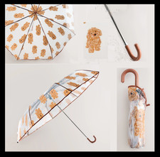 NEXT Charlie the Cockapoo