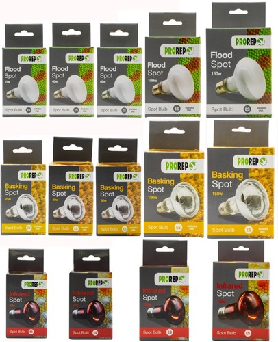 Prorep reptile light heat - prorep,