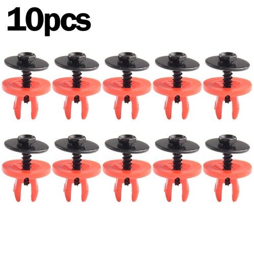 Screws plus with plastic - screws,
