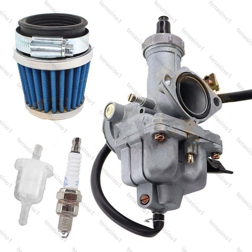 Carburettor fuel air filter - fuel,