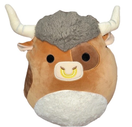Shep the highland bull cow - highland,