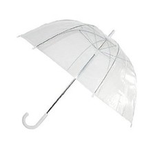 Large 31" Clear See Through